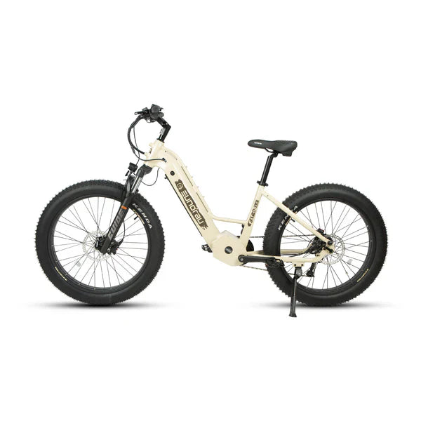 Eunorau FAT-HD 2.0 / Hunter X7 Electric Bike