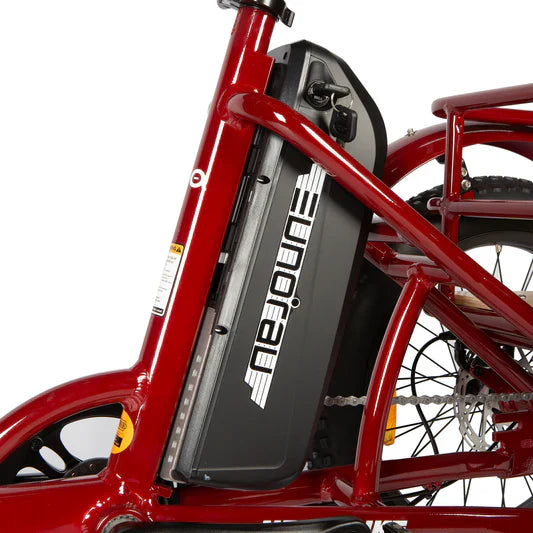 Eunorau NEW-TRIKE 2.0 Electric Bike