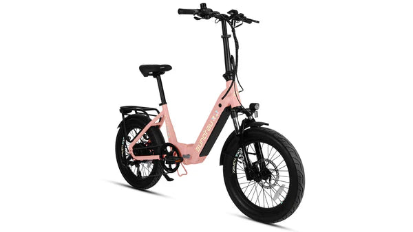 Eunorau META20 1.0 Electric Bike