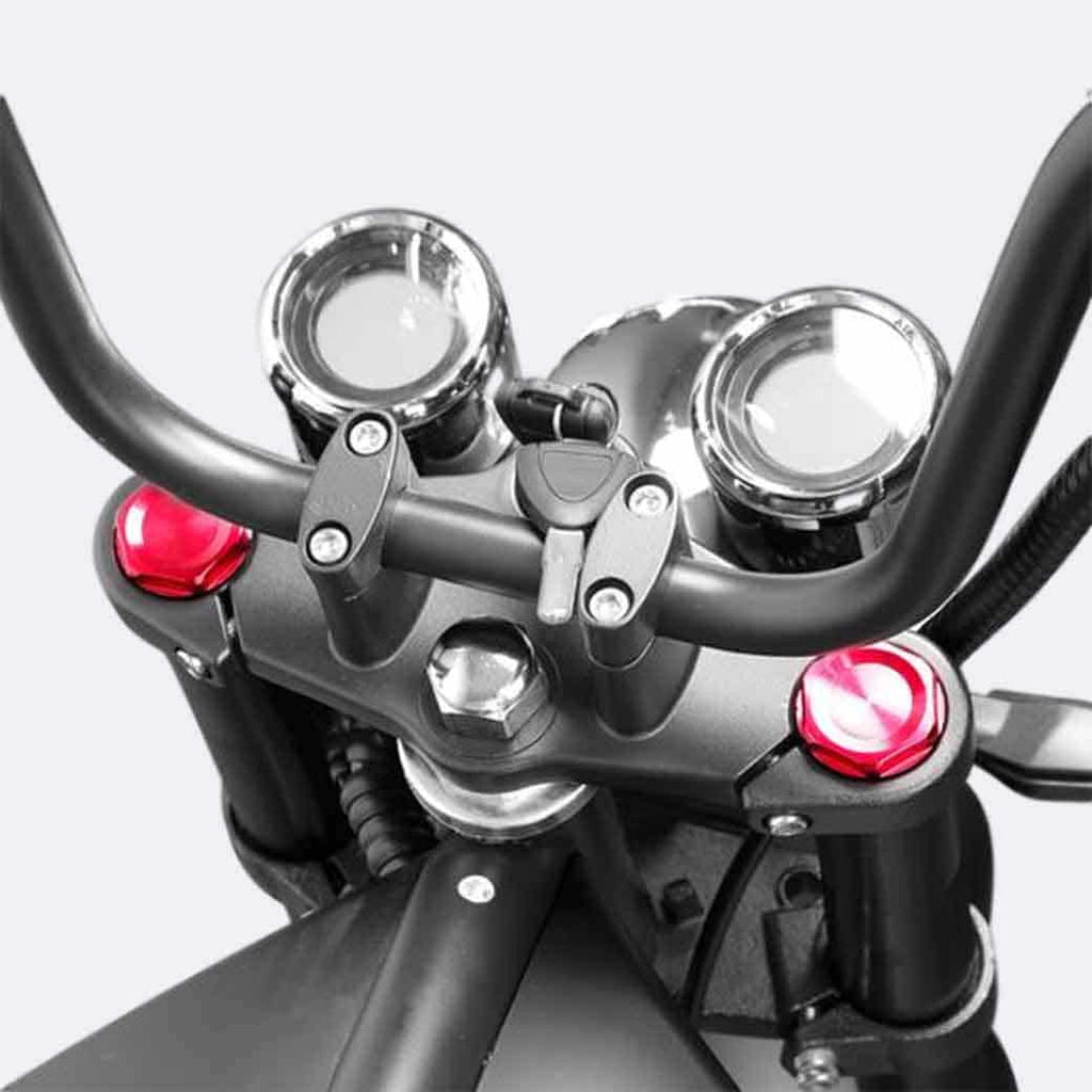 LinksEride M1P Fat Tire Electric Citycoco Scooter