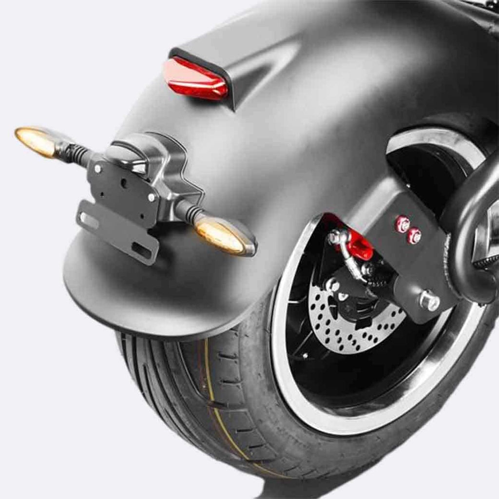 LinksEride M1P Fat Tire Electric Citycoco Scooter