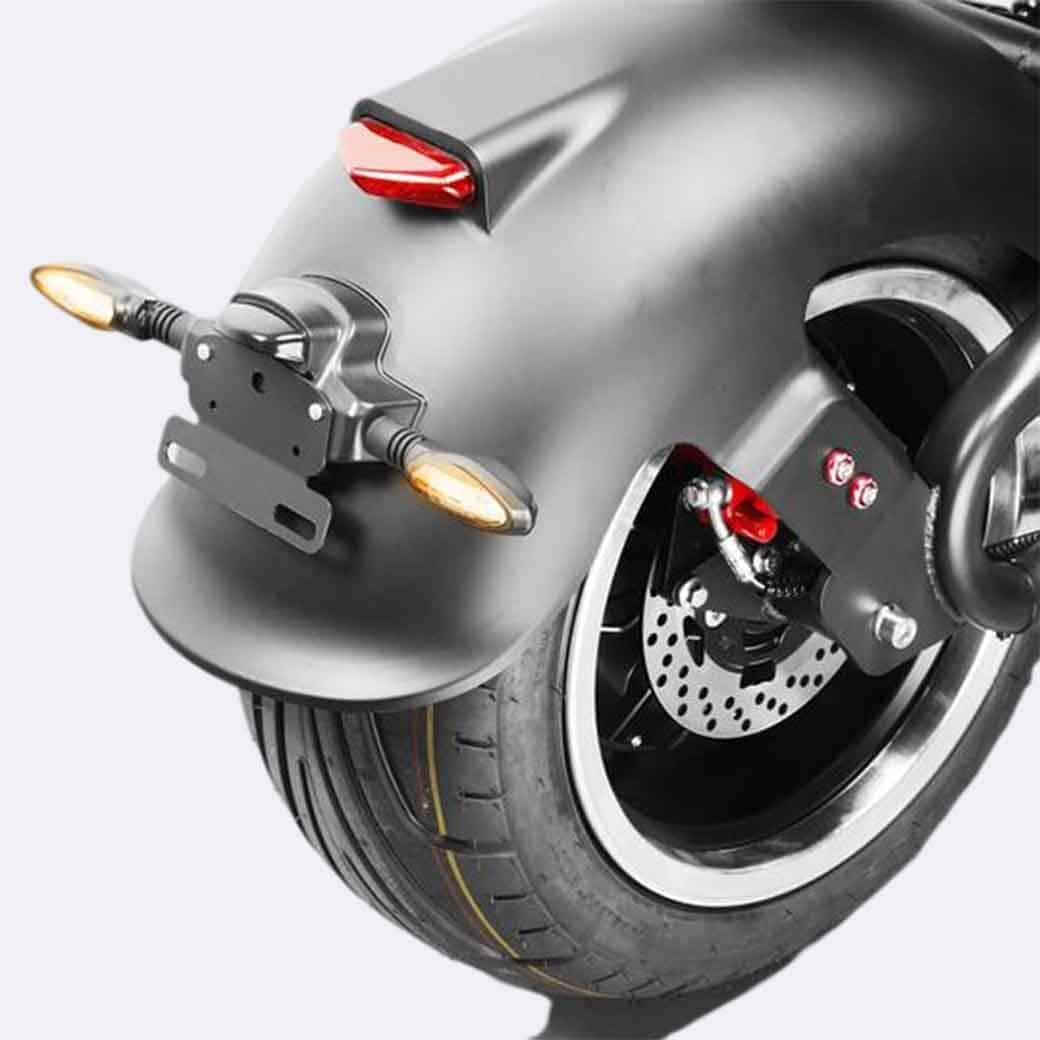 LinksEride M1P Fat Tire Electric Citycoco Scooter