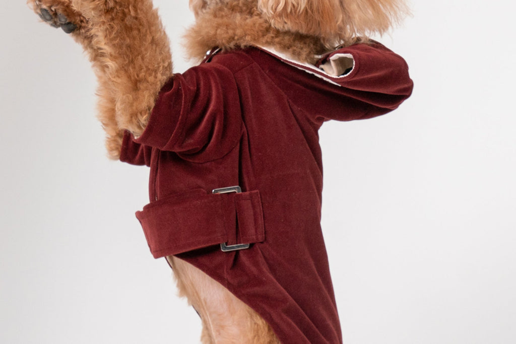 HUSTON HOODIE - DARK BURGUNDY