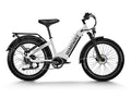 Himiway D5 ST(Zebra ST) / All-terrain Electric Fat Bike *PREORDER*