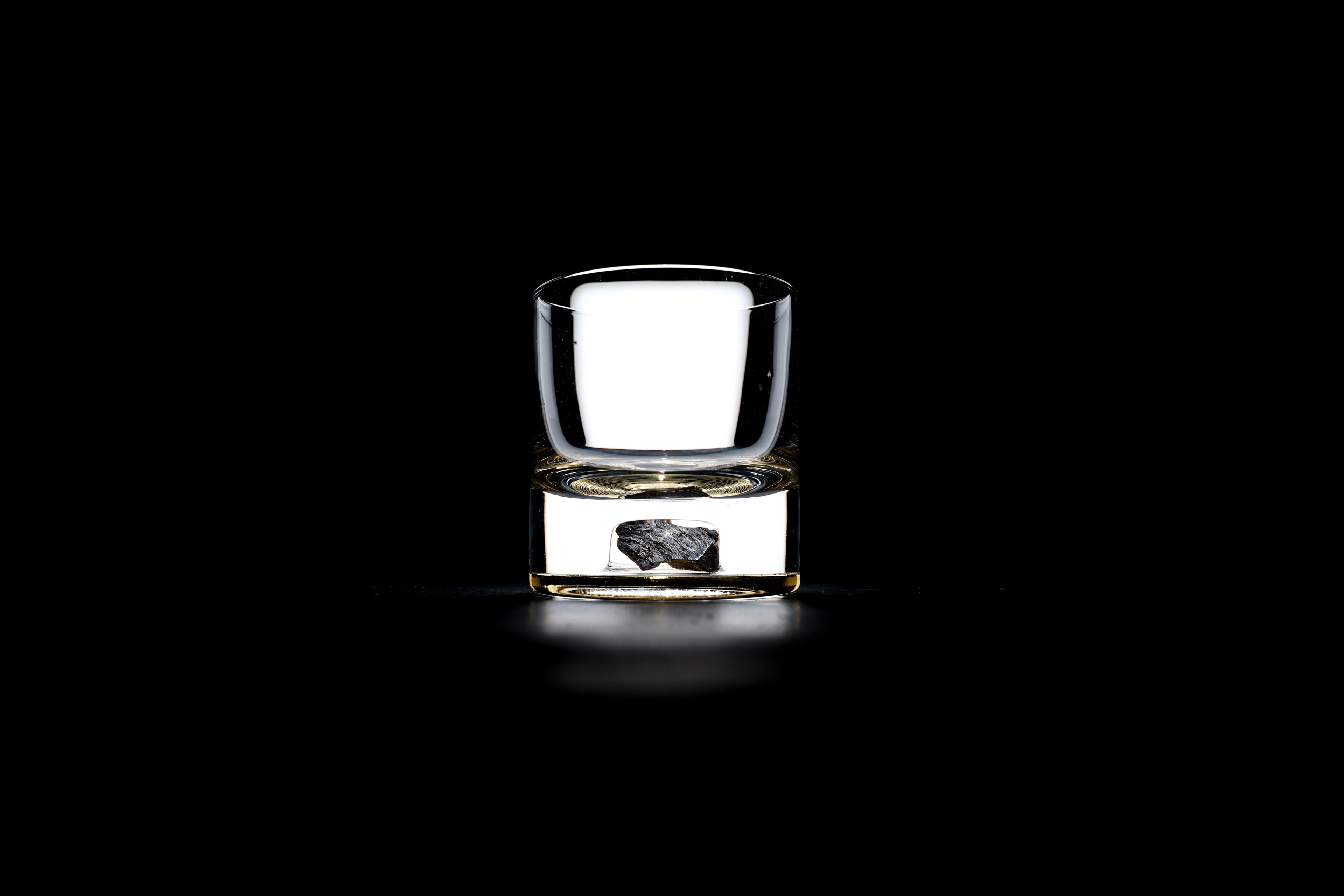 Dinosaur Bone Shard Tumbler (Series II) - Set of 2