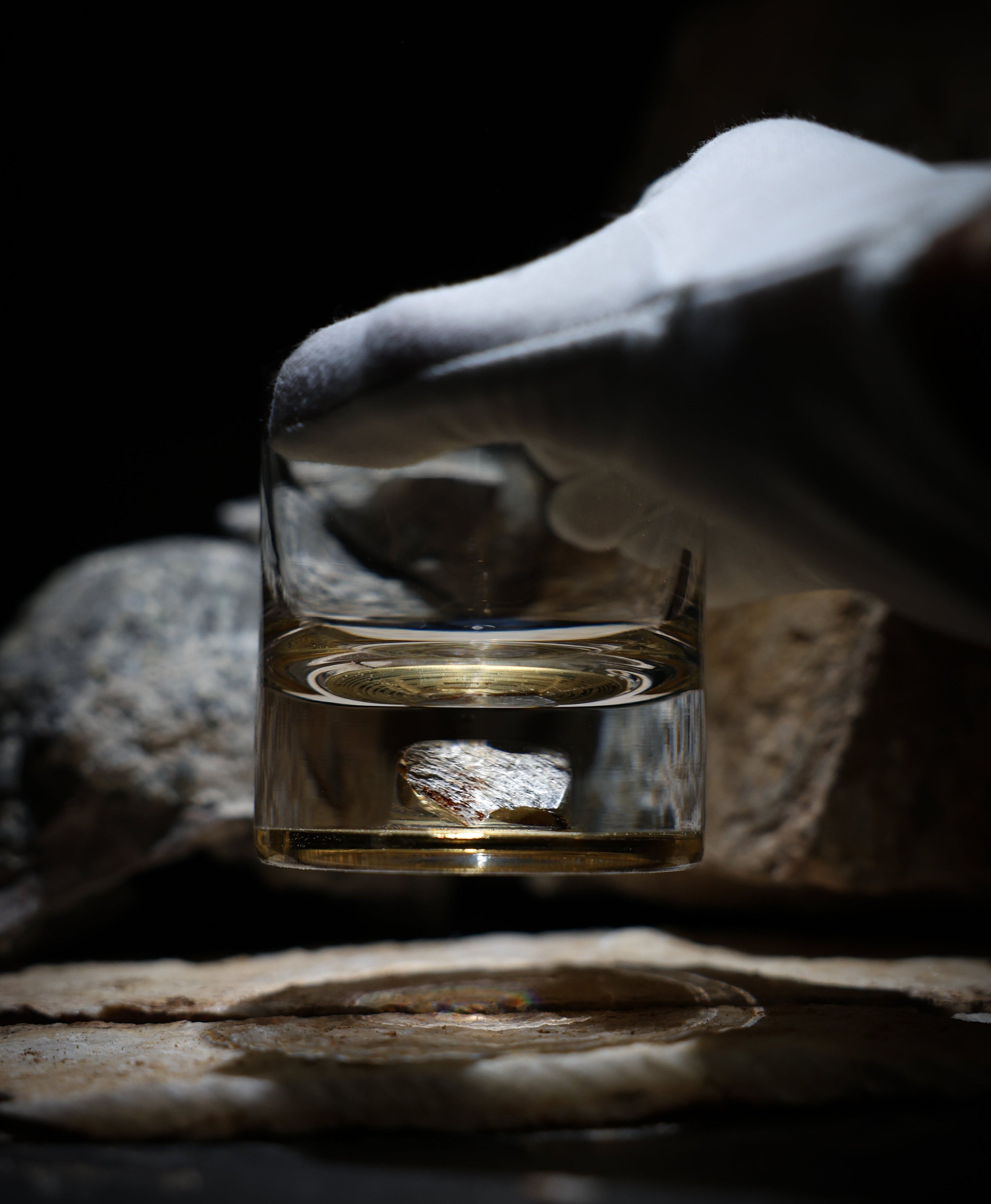 Dinosaur Bone Shard Tumbler (Series II) - Set of 2