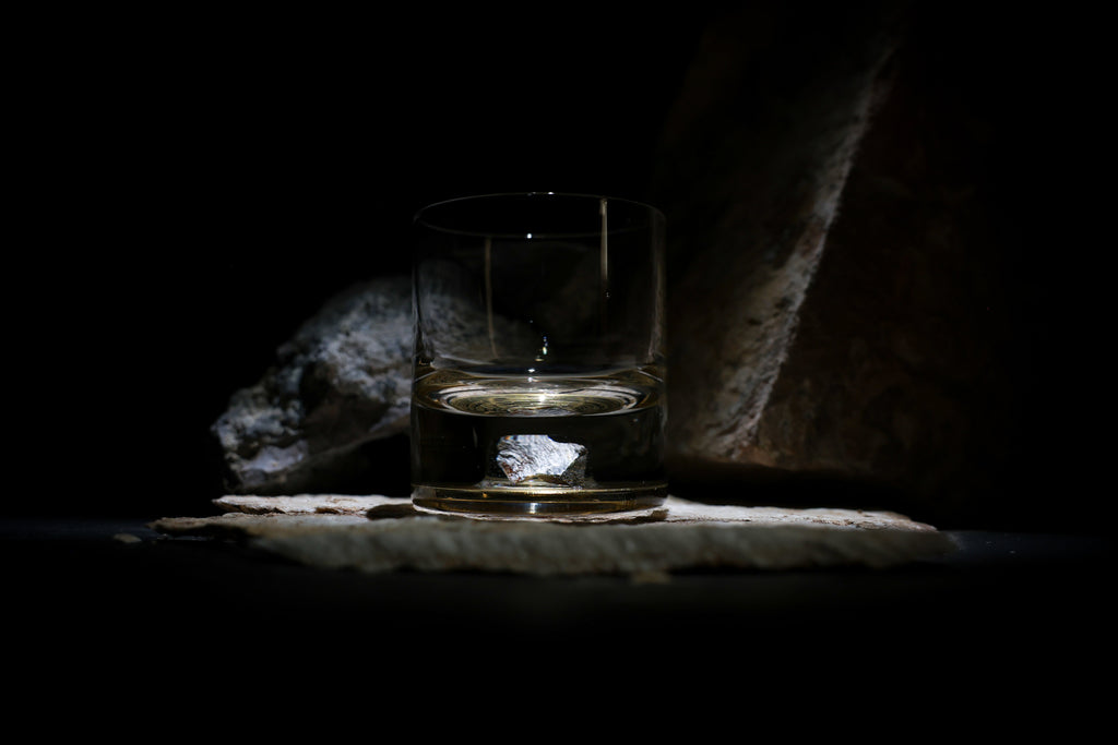 Dinosaur Bone Shard Tumbler (Series II) - Set of 2