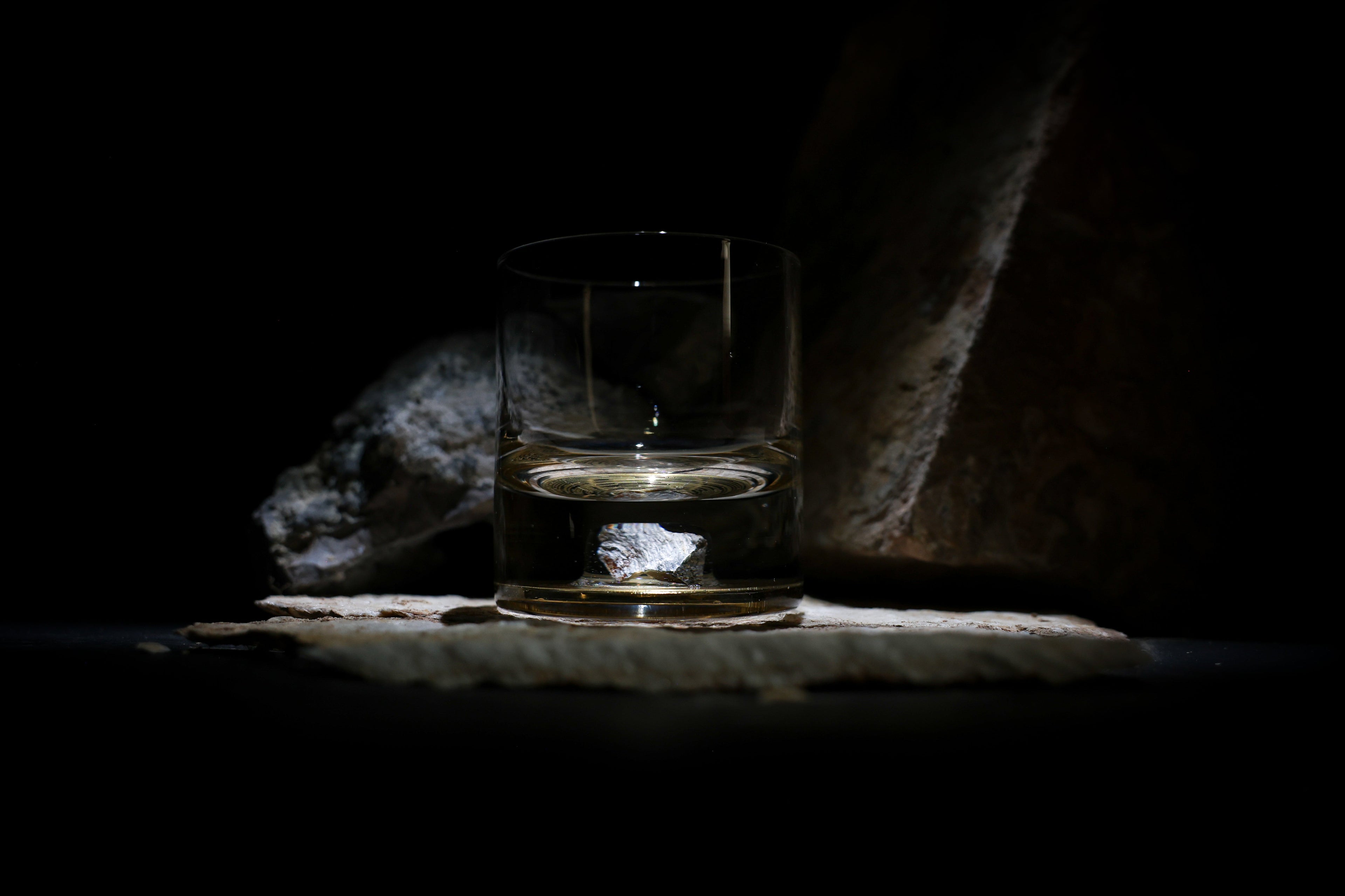 Dinosaur Bone Shard Tumbler (Series II) - Set of 2