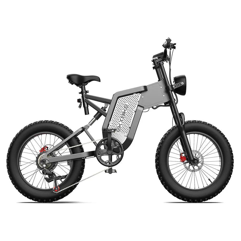 EKX X20 Electric Bike Mountain Moped Ebike 20 Inch Fat Tire 2000W 48V 35AH