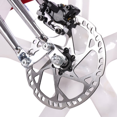 Tracer Raptor Pro DS 800W Stretch Cruiser Ebike *PREORDER*