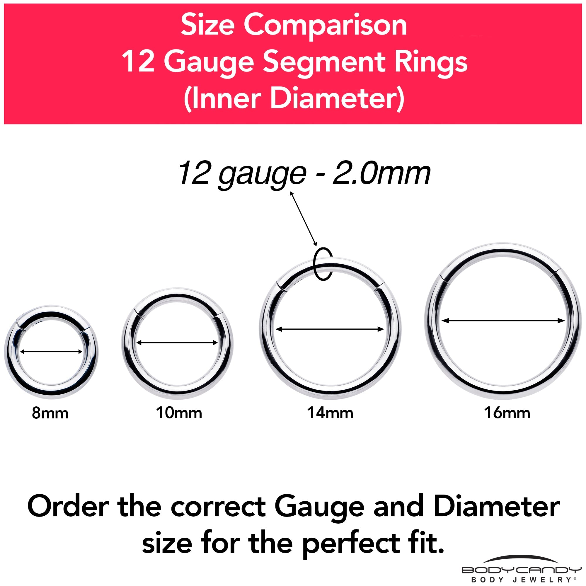 12G 5/8 316L Surgical Steel Precision Hinged Segment Hoop