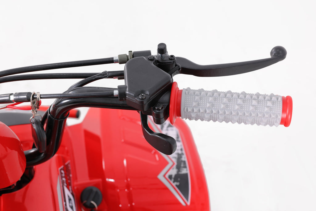 Tao Motor Rock 110 Youth ATV