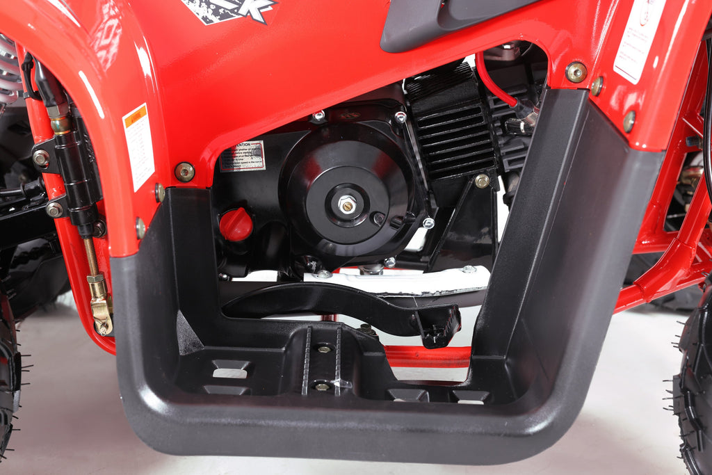 Tao Motor Rock 110 Youth ATV