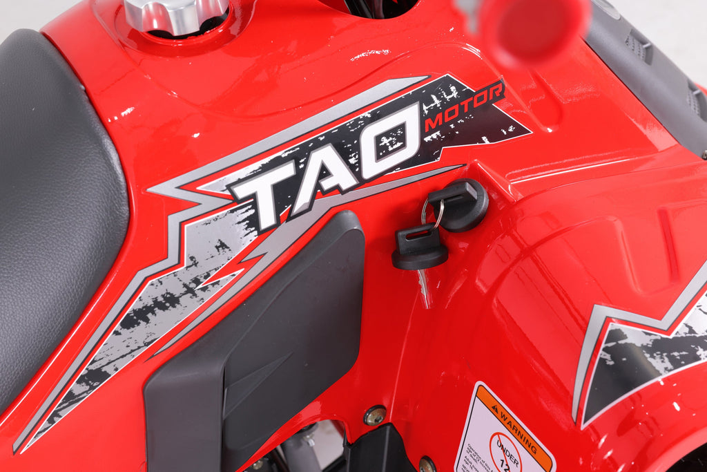 Tao Motor Rock 110 Youth ATV