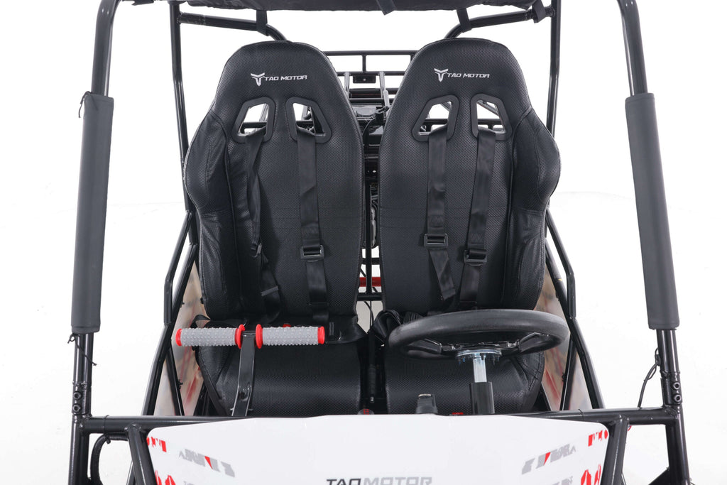 Tao Motor Baja Sport 200 Adult Go-Kart - Large-Sized Go Kart 170cc