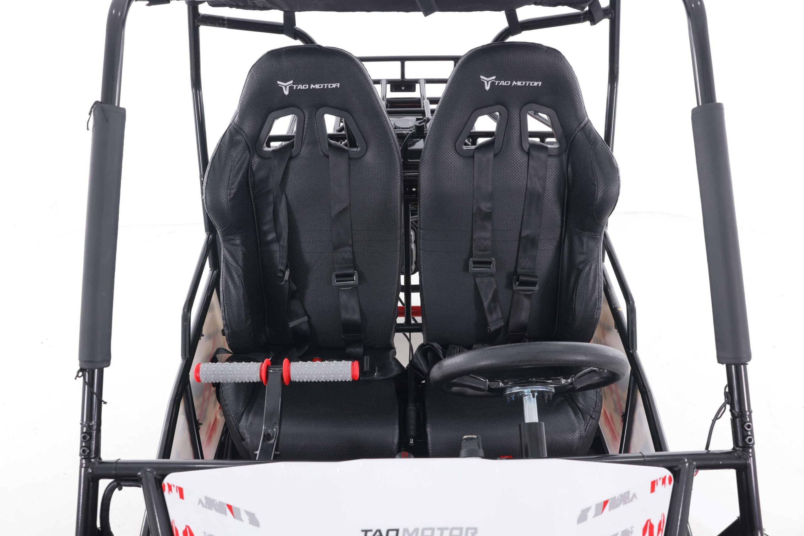 Tao Motor Baja Sport 200 Adult Go-Kart - Large-Sized Go Kart 170cc