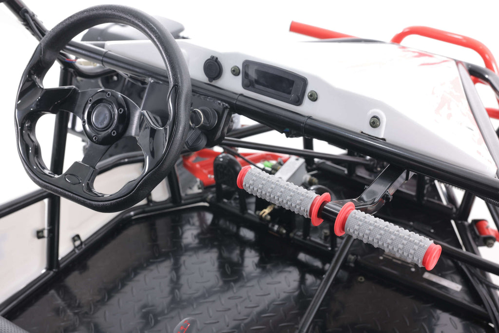 Tao Motor Baja Sport 200 Adult Go-Kart - Large-Sized Go Kart 170cc