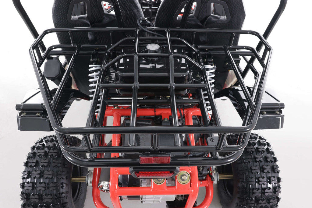 Tao Motor Baja Sport 200 Adult Go-Kart - Large-Sized Go Kart 170cc