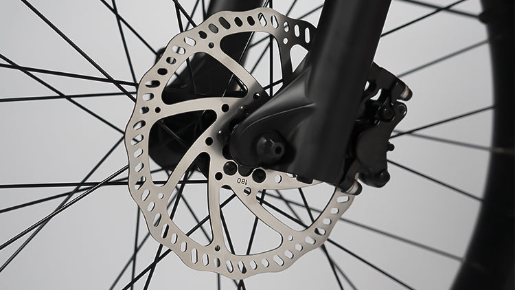 Rattan Pathfinder ST 750W Electric Bike