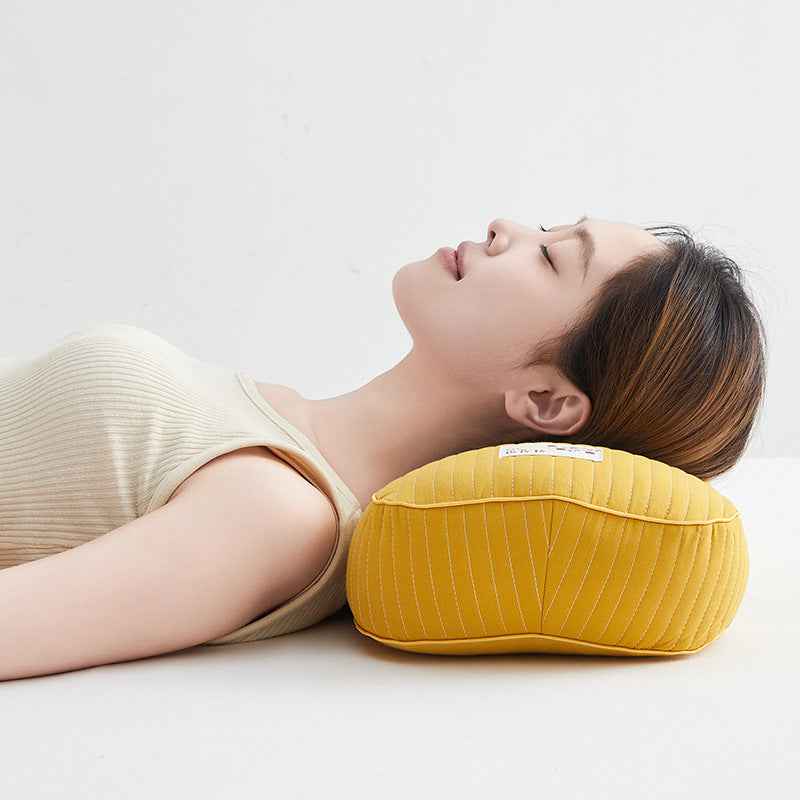 Simple Home Cotton Hard Shell Buckwheat Pillow