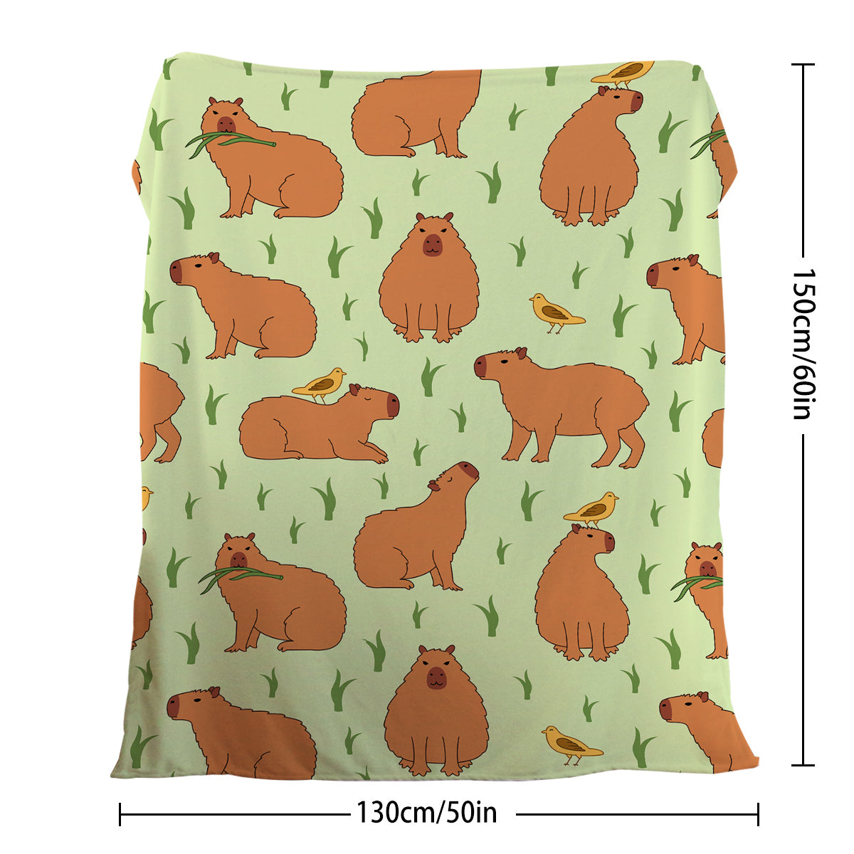 1 Pce Of Flannel Bird And Capybara Combined Pattern Soft And Fluffy Multifunctional Outdoor Beach Camping Living Room Sofa Office Nap Printed Blanket