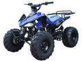 Tao Motor 110 Cheetah Sports ATV - Youth Sports Model 110cc