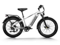 Himiway D5(Zebra) / All-terrain Electric Fat Bike