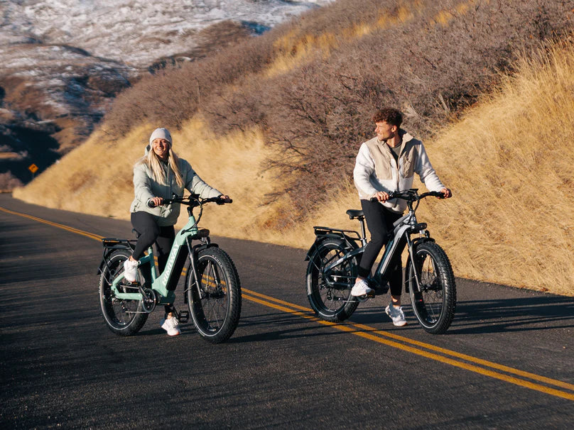 Himiway D5 ST(Zebra ST) / All-terrain Electric Fat Bike *PREORDER*