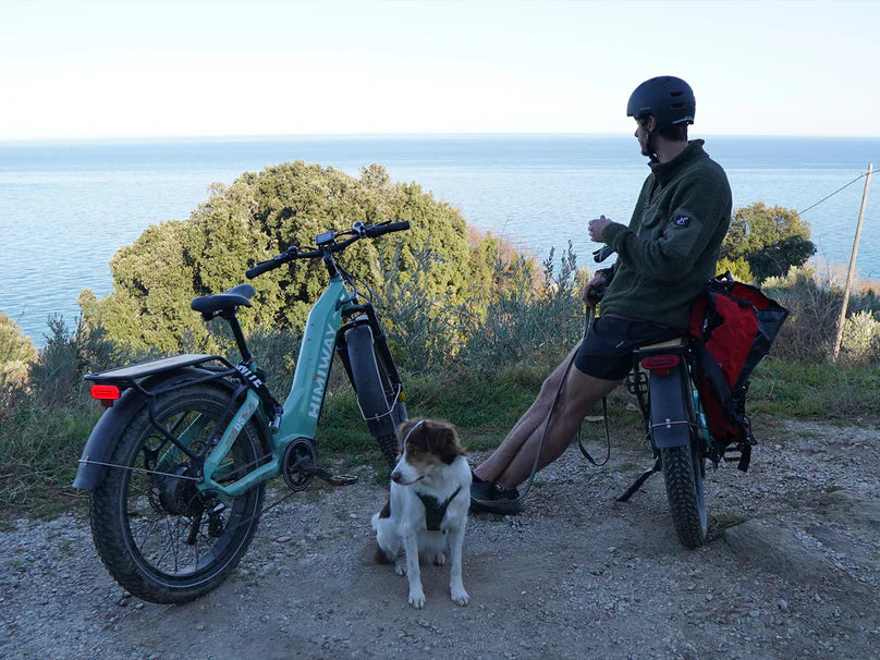 Himiway D5 ST(Zebra ST) / All-terrain Electric Fat Bike *PREORDER*