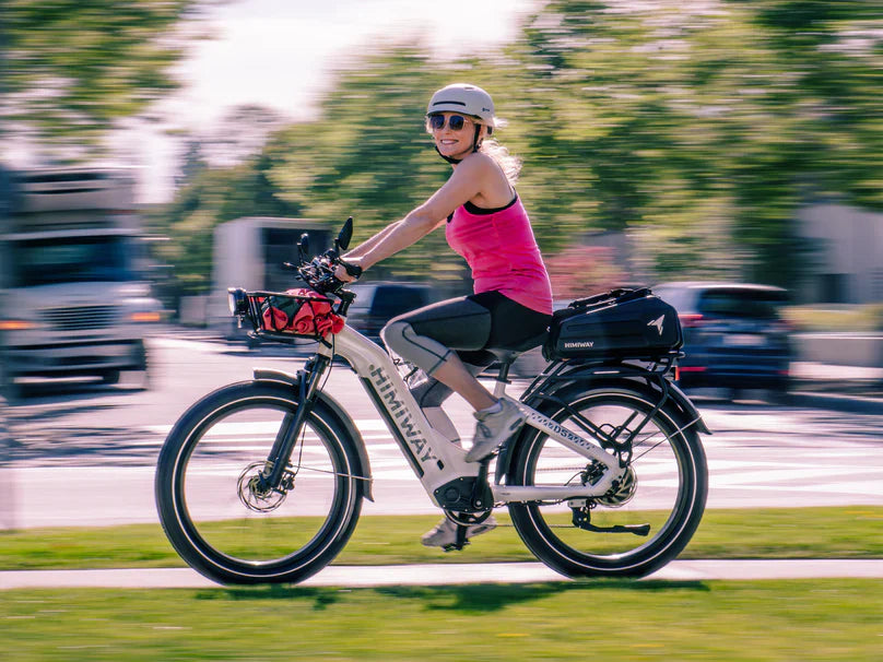 Himiway D5 ST(Zebra ST) / All-terrain Electric Fat Bike *PREORDER*