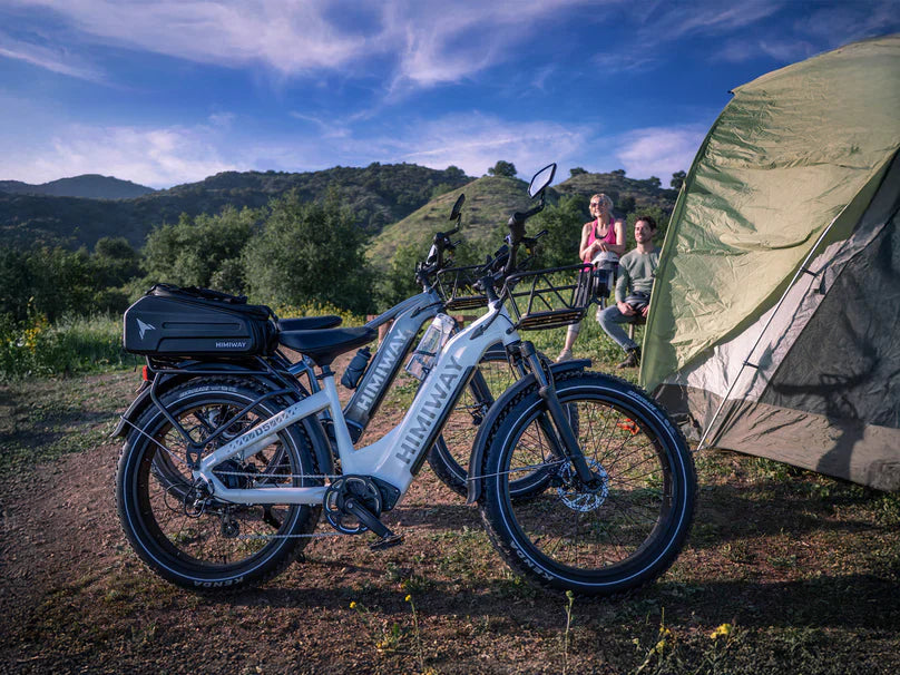 Himiway D5(Zebra) / All-terrain Electric Fat Bike