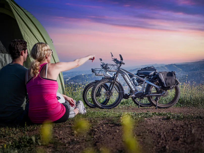Himiway D5 ST(Zebra ST) / All-terrain Electric Fat Bike *PREORDER*