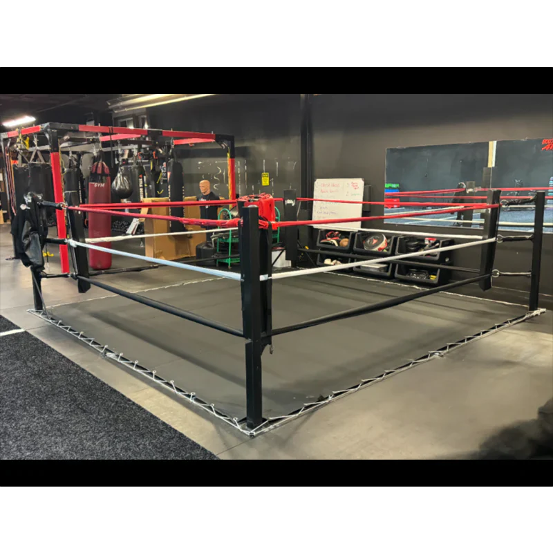 Floor Boxing Ring by Monster Rings and Cages