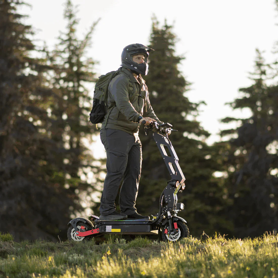 Freego D11 Landtiger Electric Scooter Foldable Dual Motor 4000W