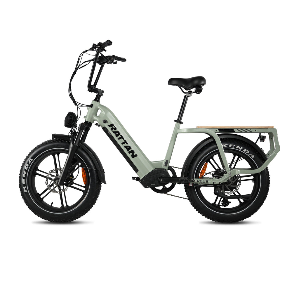 Rattan Quercus Fat Tire 750W Electric Bike