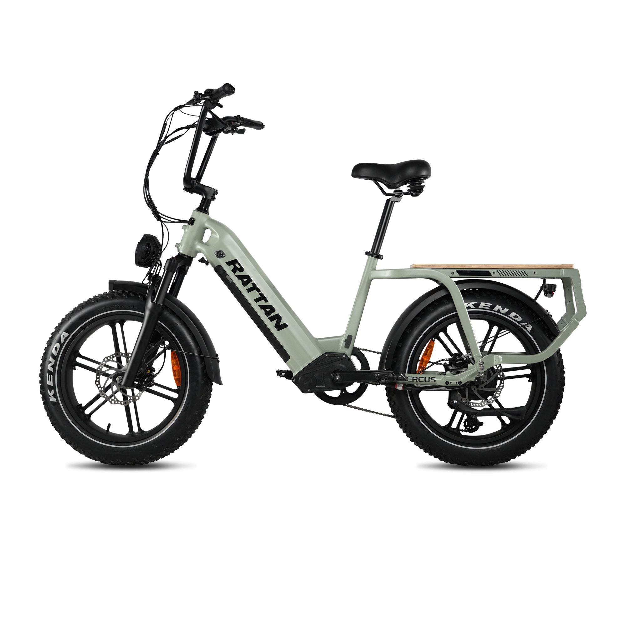 Rattan Quercus Fat Tire 750W Electric Bike