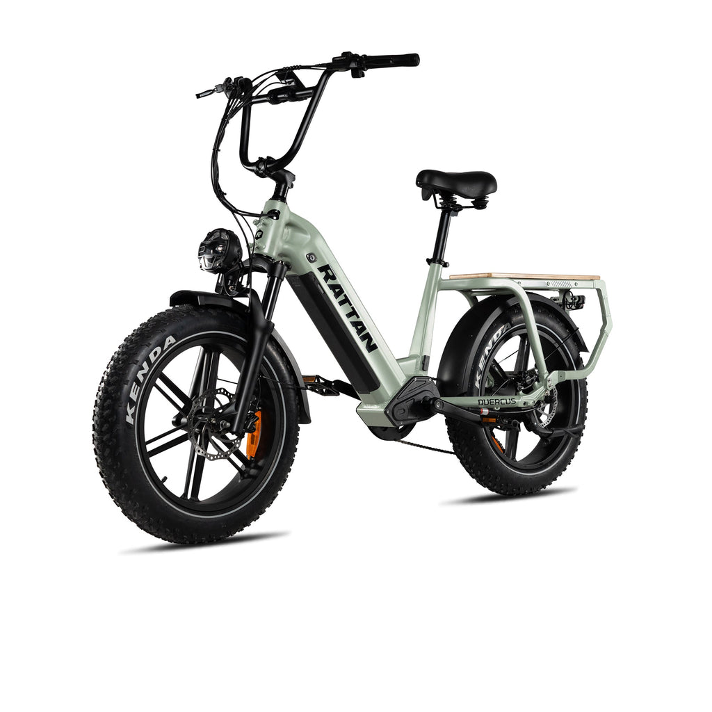 Rattan Quercus Fat Tire 750W Electric Bike