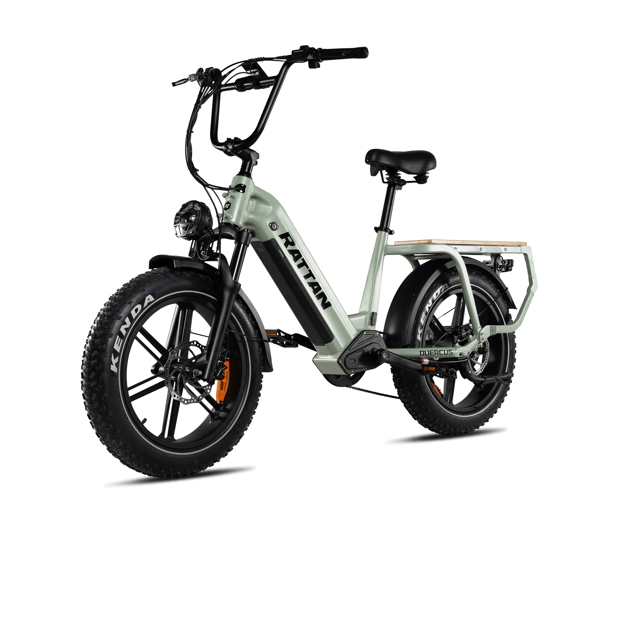 Rattan Quercus Fat Tire 750W Electric Bike