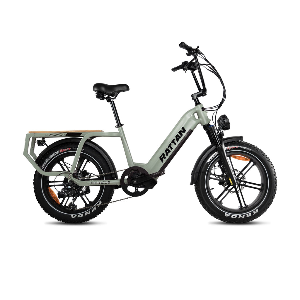 Rattan Quercus Fat Tire 750W Electric Bike