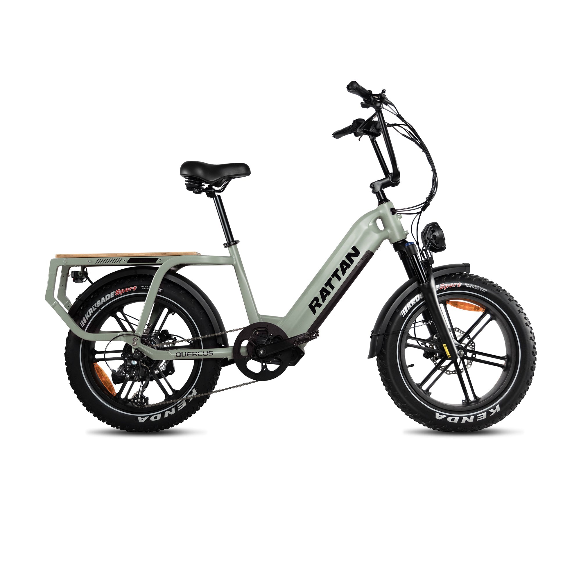 Rattan Quercus Fat Tire 750W Electric Bike