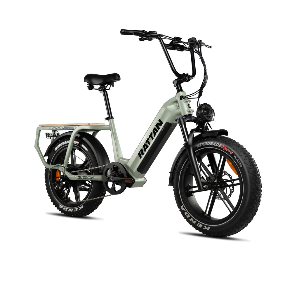 Rattan Quercus Fat Tire 750W Electric Bike