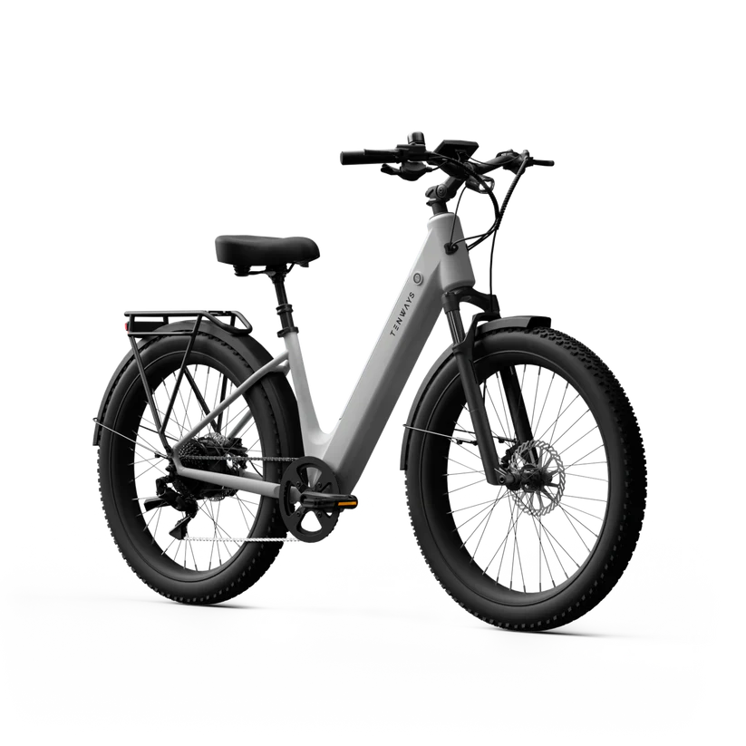 TENWAYS Wayfarer 750W Electric Bike