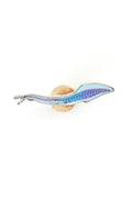 Pikaia Enamel Pin (Pikaia gracilens)
