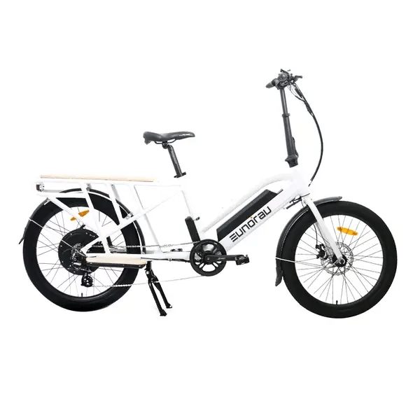 Eunorau MAX-CARGO 2.0 Electric Bike
