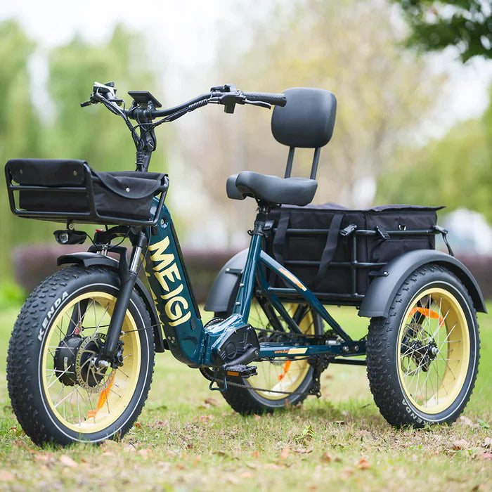 SILVERADO-HD Fat Tire Electric Tricycle by DW Meigi