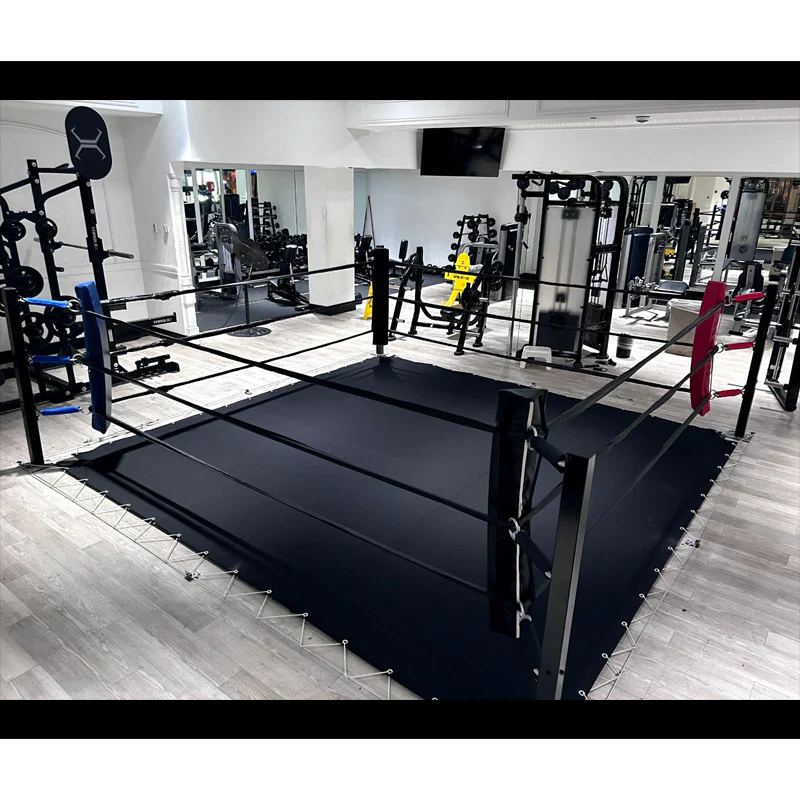 Floor Boxing Ring by Monster Rings and Cages