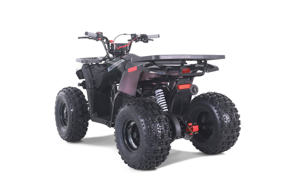 Tao Motor Mudhawk 10 Youth ATV with Remote Shut Off - 120cc