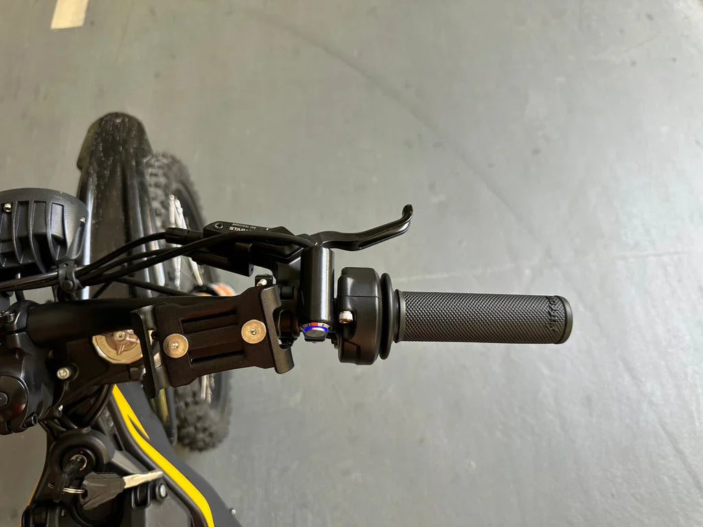 Freego Natkie N1 All-Terrain Electric Motorcycle