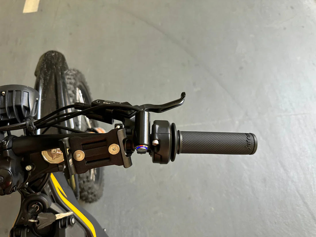 Freego Natkie N1 All-Terrain Electric Motorcycle