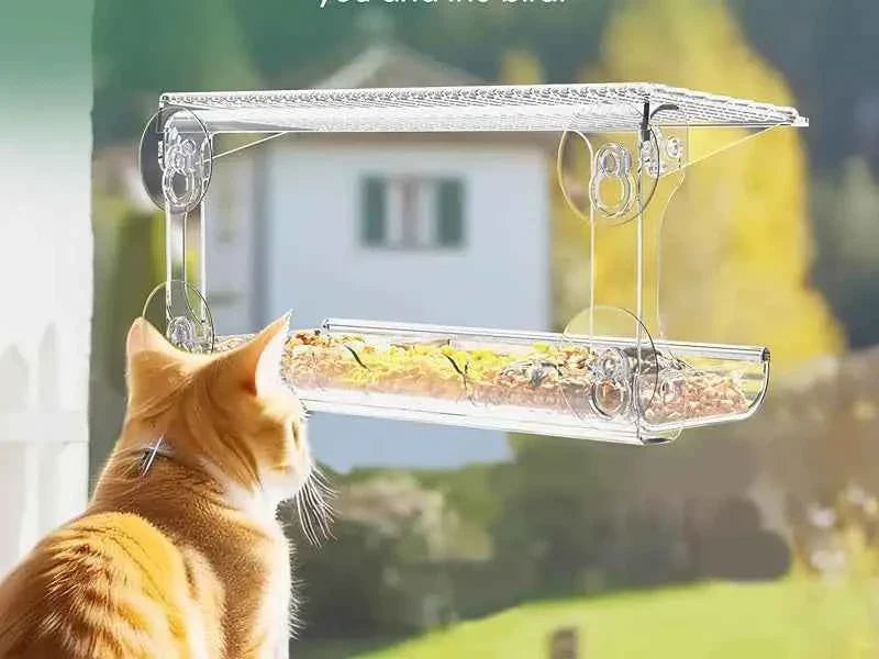 Window Bird Feeder for Outdoors, Clear Bird Feeders Window Mounted with Strong Suction Cups, Transparent Bird House Outside Wild
